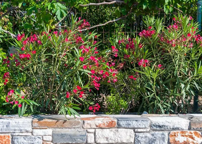 Viglaki House Villa *